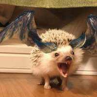 Profile picture for user eragon1581