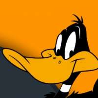 Profile picture for user ducky9670