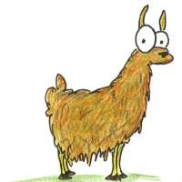 Profile picture for user Diamond Llama