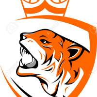 Profile picture for user king_tiger007