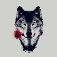 Profile picture for user Venocide