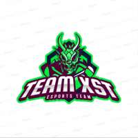 Profile picture for user Team XST