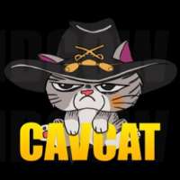 Profile picture for user CavCat