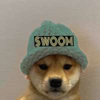Profile picture for user swoom