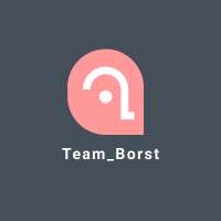 Profile picture for user Team_Borst