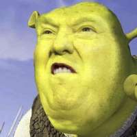 Profile picture for user ferretM9000