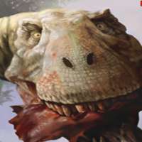 Profile picture for user sodtrex