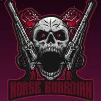 Profile picture for user Norse Guardian