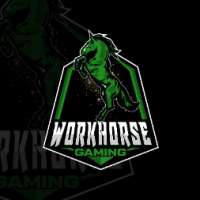 Profile picture for user WorkHorseGaming