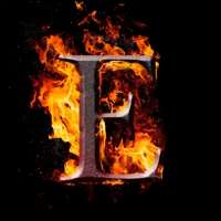 Profile picture for user Ente